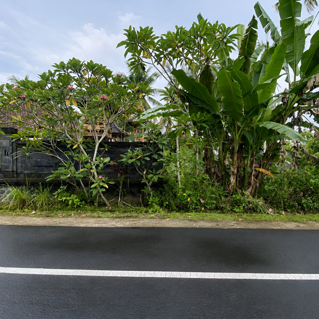 Tanah di Bali